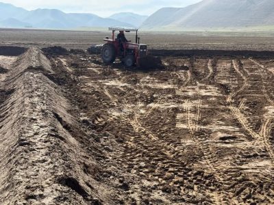 واژگون شدن تراکتور در بادغیس جان راننده را گرفت