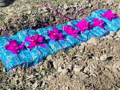 آغاز کار جغلاندازی ۷ کیلومتر سرک به ارزش ۲.۸ میلیون افغانی در بادغیس