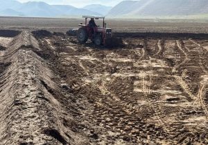 واژگون شدن دستگاه تراکتور در بادغیس یک قربانی گرفت