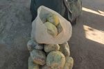 کشف و ضبط ۳۲ کیلوگرام مواد مخدر در بادغیس